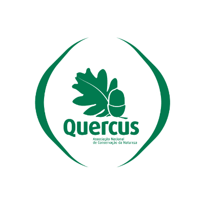Quercus