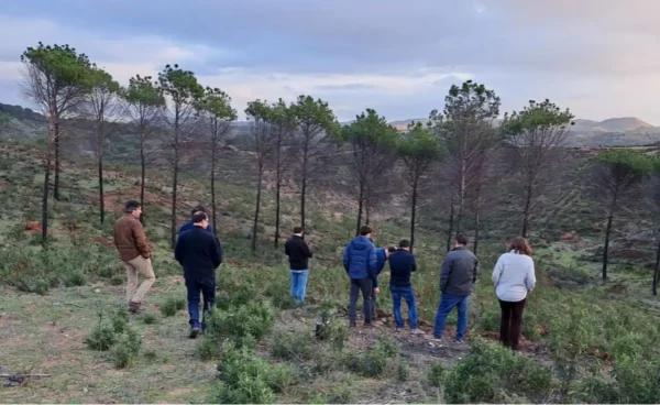 Imagen de Reunión de lanzamiento del proyecto Refloresta