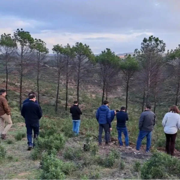 Imagen de Reunión de lanzamiento del proyecto Refloresta